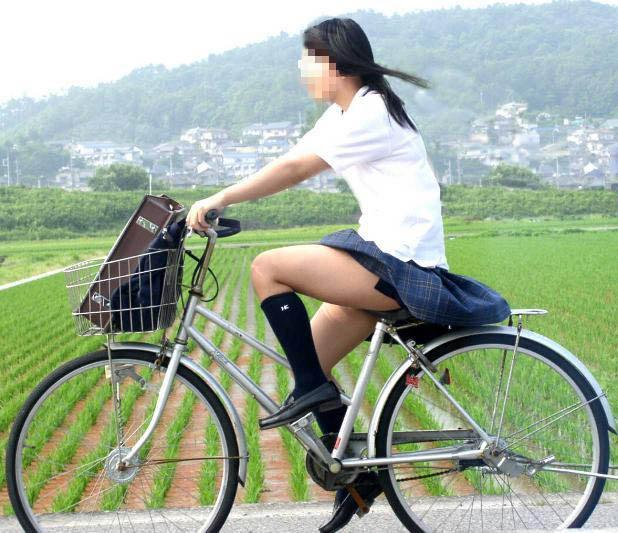 【JK自転車エロ画像】自転車通学中の女子高生のスカートが絶妙過ぎて目が離せねーｗｗｗｗ その2